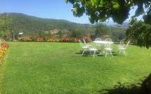 Foto pubblicata dell'ospite di Palazzo Rosadi