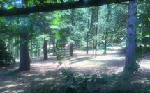 Foto pubblicata dell'ospite di Palazzo Rosadi