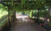 Foto pubblicata dell'ospite di Palazzo Rosadi