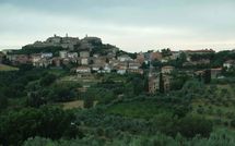 Foto pubblicata dell'ospite di Villa Nibbiano