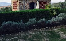 Foto pubblicata dell'ospite di Isidoro