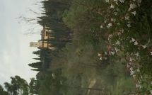 Foto pubblicata dell'ospite di Villa Cinzia