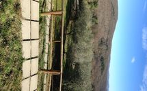 Foto pubblicata dell'ospite di Villa Saverio