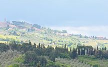 Foto pubblicata dell'ospite di Massi