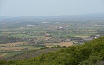 Foto pubblicata dell'ospite di Villa Noceta