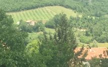 Foto pubblicata dell'ospite di Palazzo Rosadi