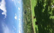 Foto pubblicata dell'ospite di Palazzo Rosadi