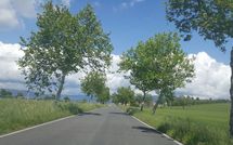 Foto pubblicata dell'ospite di Casa Caldesi