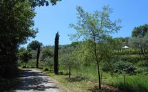 Foto pubblicata dell'ospite di Podere San Bono