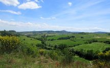 Foto pubblicata dell'ospite di Podere San Bono