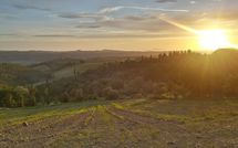 Foto pubblicata dell'ospite di Casa Anna
