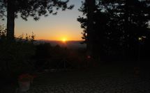 Foto pubblicata dell'ospite di Villino Alba