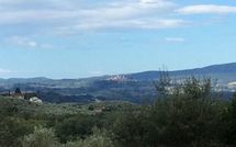 Foto pubblicata dell'ospite di Villa Orchidea