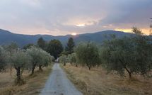 Foto pubblicata dell'ospite di Il Castagneto