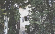 Foto pubblicata dell'ospite di Rocca di Cetona