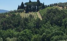 Foto pubblicata dell'ospite di Villa Fabbiolle All'Impruneta