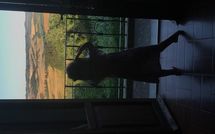 Foto pubblicata dell'ospite di Villa di Montelopio