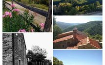 Foto pubblicata dell'ospite di Tribbiano