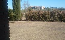 Foto pubblicata dell'ospite di Nonno Tobia