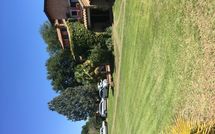 Foto pubblicata dell'ospite di Villa Iris