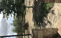 Foto pubblicata dell'ospite di Pieve di Sant Ippolito