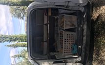 Foto pubblicata dell'ospite di Villa Il Prato