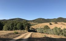 Foto pubblicata dell'ospite di Santa Barbera