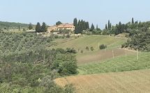 Foto pubblicata dell'ospite di Fattoria di Quercia al Poggio