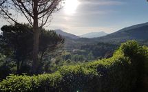 Foto pubblicata dell'ospite di La Palma