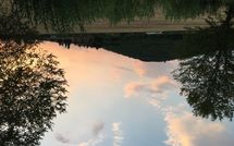 Foto pubblicata dell'ospite di Il Pasqualino