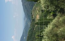 Foto pubblicata dell'ospite di Casa Fiora