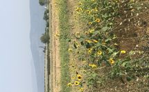 Foto pubblicata dell'ospite di Case Sant'Anna