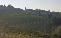 Foto pubblicata dell'ospite di Casa Rossa