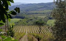 Foto pubblicata dell'ospite di Cerretalta