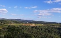 Foto pubblicata dell'ospite di Fattoria di Quercia al Poggio