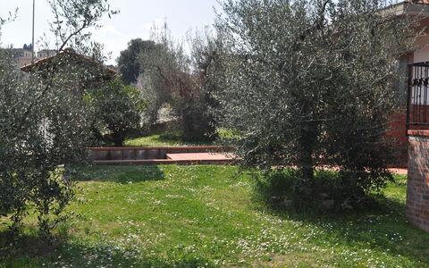 La Casina Del Canneto: Proprietà, Giardino, Cortile, Albero, Erba, Backyard, Prato, Casa, Lotto, Primavera