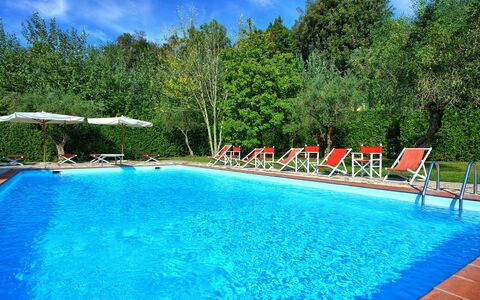 Villa Fiamma: Acqua, Pianta, Piscina, Cielo, Azzurro, Nube, Albero, Mobili Da Esterno, Paesaggio Naturale, Rettangolo