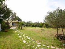 Villa Mare e Rocce