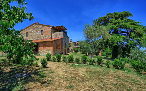 Casa Olivia: Proprietà, Vegetazione, Blu, Casa, Immobiliare, Paesaggio Naturale, Casa, Estate, Cielo, Albero