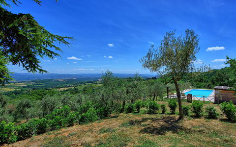 Casa Olivia: Natura, Vegetazione, Cielo, Paesaggio Naturale, Blu, Proprietà, Albero, Verde, Ambiente Naturale, Natura Selvaggia