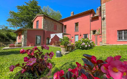 Mulino a Montegonzi Di Rimaggio: Fiore, Cielo, Pianta, Finestra, Costruzione, Verde, Vaso Di Fiori, Albero, Erba, Casa