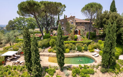 Villa Le Corti: Arbusto, Giardino, Paesaggio, Landscaping, Estate, Giardino Botanico, Parco, Cortile, Villa