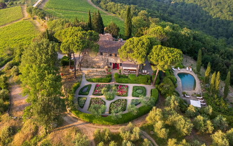 Villa Le Corti: Arbusto, Giardino, Comunita 'Impianto, Groundcover, Landscaping, Estate, Giardino Botanico, Hacienda, Backyard