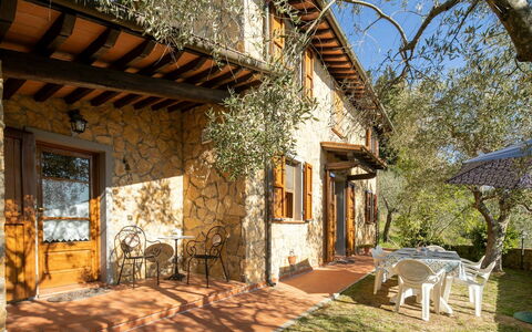 Villa Del Colle: Costruzione, Pianta, Finestra, Cielo, Albero, Shade, Luce Del Sole, Legna, Casa, Villetta