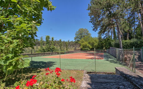 Il Poggio Di Patrignone: Natura, Paesaggio Naturale, Giardino, Proprietà, Albero, Immobiliare, Erba, Botanica, Cielo, Cortile