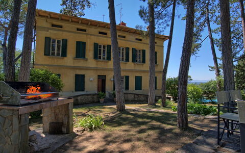 Il Poggio Di Patrignone: Proprietà, Casa, Costruzione, Casa, Estate, Immobiliare, Albero, Architettura, Camera, Villetta