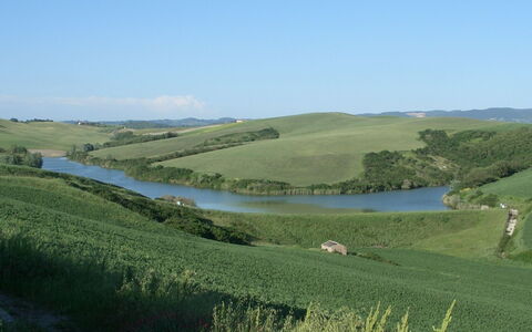 Agriturismo Il Gattero: Pascolo, Paesaggio Naturale, Ambiente Naturale, Plain, Risorse Idriche, Collina, Area Rurale, Pascolo, Acqua, Lotto