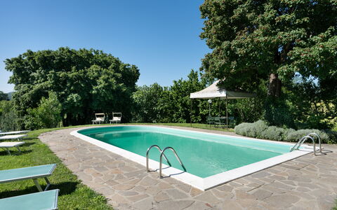 La Forra: Acqua, Pianta, Cielo, Proprietà, Piscina, Shade, Albero, Erba, Tempo Libero, Rettangolo