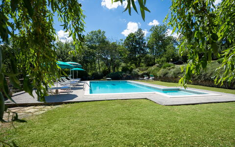 Podere Schignano: Cielo, Pianta, Nube, Acqua, Piscina, Shade, Lotto, Arecales, Condominio, Albero