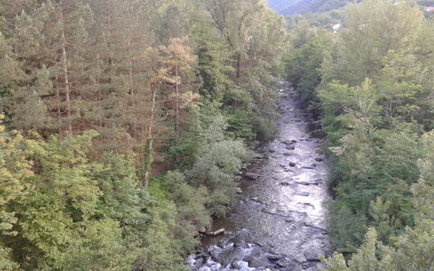 Appartamento Porretta Terme: Geografia Montane, Natura Selvaggia, Vegetazione, Montagna, Riserva Naturale, Albero, Biome, Acqua, Fenomeno Geologico, Comunita 'Impianto